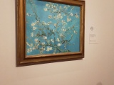 W05-VanGogh-AlmondBlossom