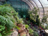 W08_ButterflyGarden